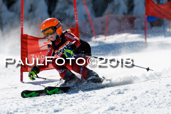 Ziener Cup WF, Finale, Quali + Parallelslalom, 24.03.2018