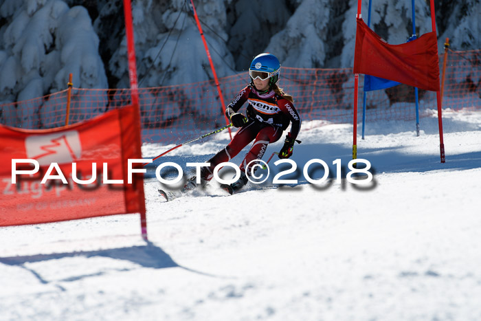 Ziener Cup WF, Finale, Quali + Parallelslalom, 24.03.2018