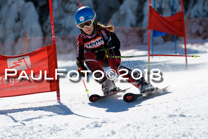 Ziener Cup WF, Finale, Quali + Parallelslalom, 24.03.2018