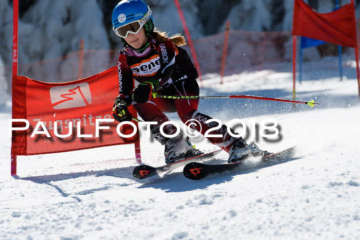Ziener Cup WF, Finale, Quali + Parallelslalom, 24.03.2018