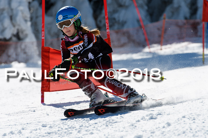 Ziener Cup WF, Finale, Quali + Parallelslalom, 24.03.2018