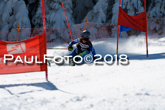 Ziener Cup WF, Finale, Quali + Parallelslalom, 24.03.2018