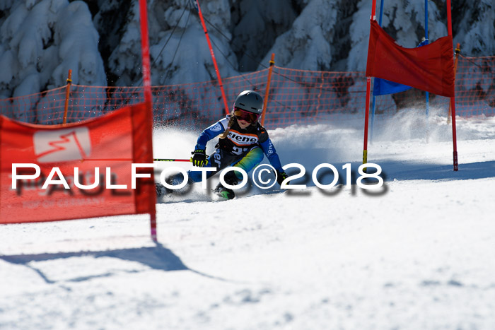 Ziener Cup WF, Finale, Quali + Parallelslalom, 24.03.2018