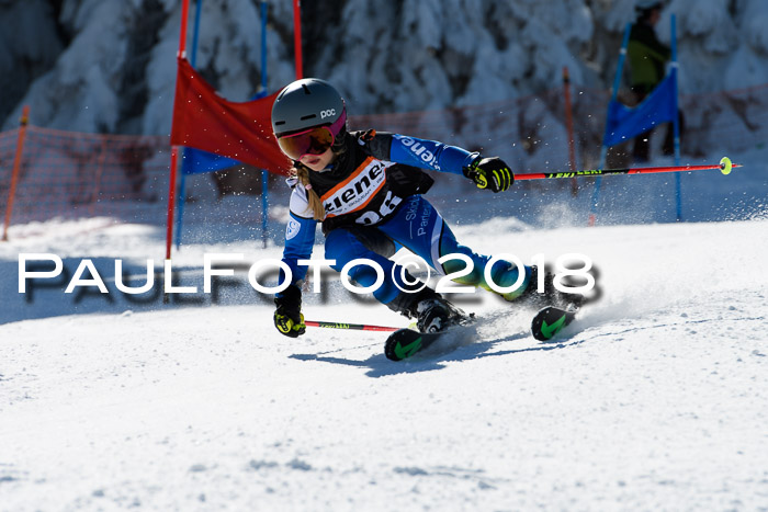 Ziener Cup WF, Finale, Quali + Parallelslalom, 24.03.2018