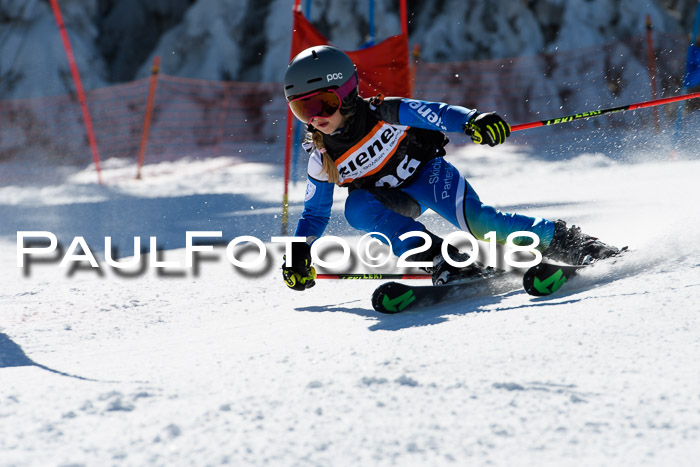 Ziener Cup WF, Finale, Quali + Parallelslalom, 24.03.2018