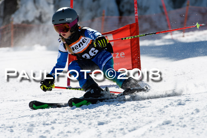 Ziener Cup WF, Finale, Quali + Parallelslalom, 24.03.2018