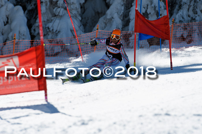 Ziener Cup WF, Finale, Quali + Parallelslalom, 24.03.2018