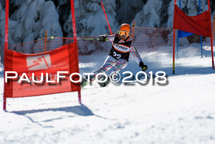 Ziener Cup WF, Finale, Quali + Parallelslalom, 24.03.2018