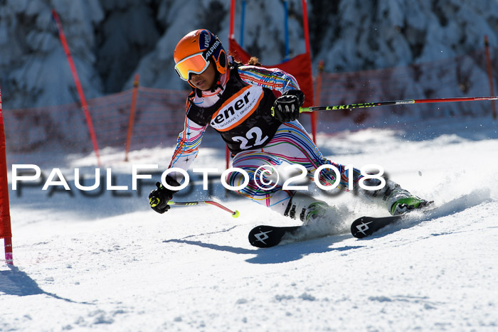 Ziener Cup WF, Finale, Quali + Parallelslalom, 24.03.2018