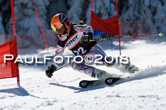 Ziener Cup WF, Finale, Quali + Parallelslalom, 24.03.2018