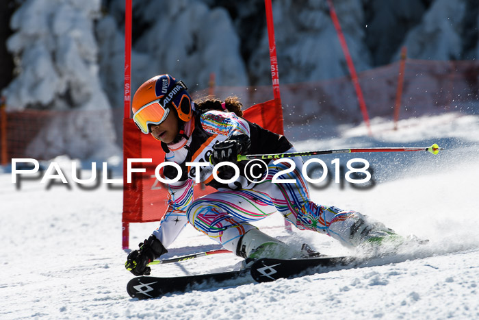 Ziener Cup WF, Finale, Quali + Parallelslalom, 24.03.2018
