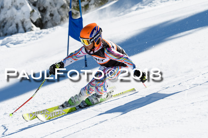 Ziener Cup WF, Finale, Quali + Parallelslalom, 24.03.2018