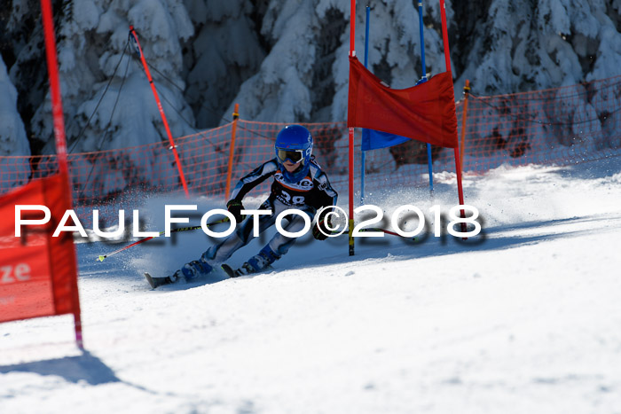 Ziener Cup WF, Finale, Quali + Parallelslalom, 24.03.2018