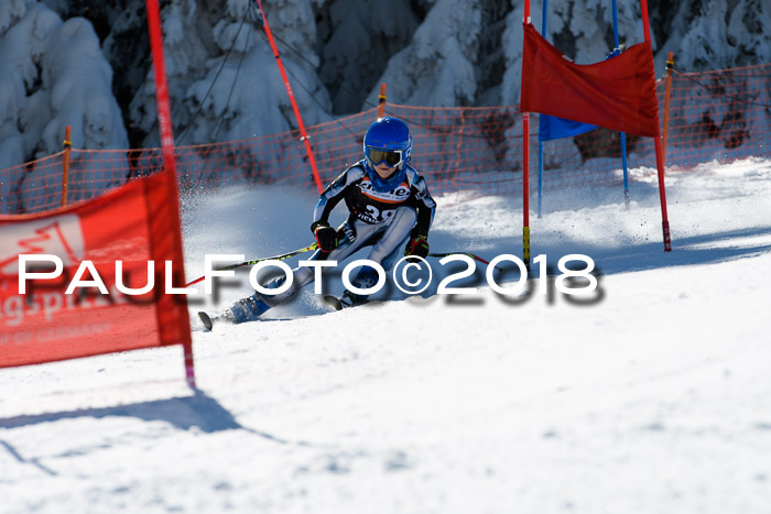 Ziener Cup WF, Finale, Quali + Parallelslalom, 24.03.2018