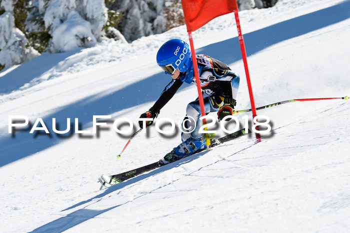 Ziener Cup WF, Finale, Quali + Parallelslalom, 24.03.2018