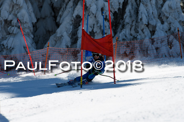 Ziener Cup WF, Finale, Quali + Parallelslalom, 24.03.2018