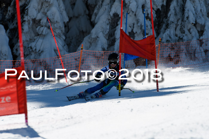 Ziener Cup WF, Finale, Quali + Parallelslalom, 24.03.2018