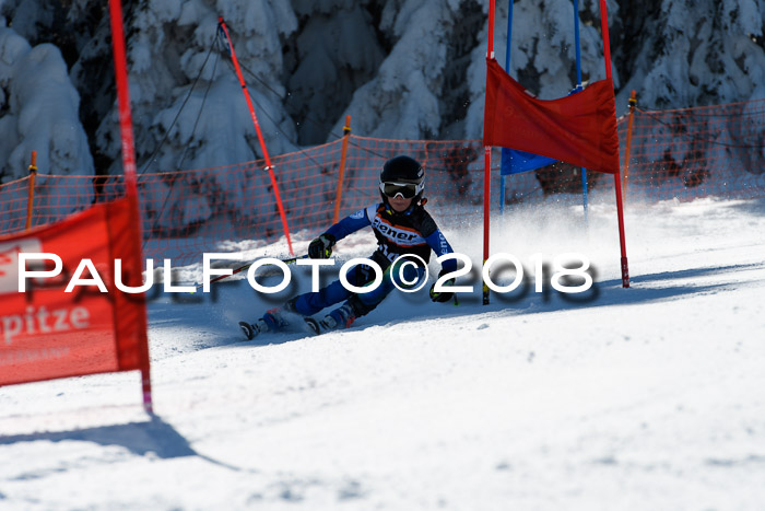 Ziener Cup WF, Finale, Quali + Parallelslalom, 24.03.2018