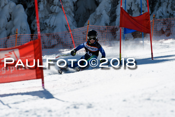Ziener Cup WF, Finale, Quali + Parallelslalom, 24.03.2018