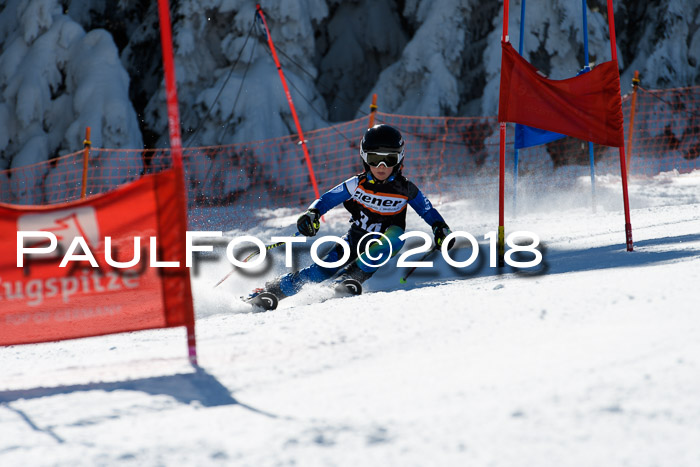 Ziener Cup WF, Finale, Quali + Parallelslalom, 24.03.2018