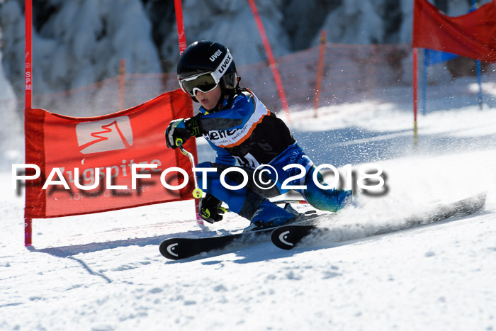 Ziener Cup WF, Finale, Quali + Parallelslalom, 24.03.2018