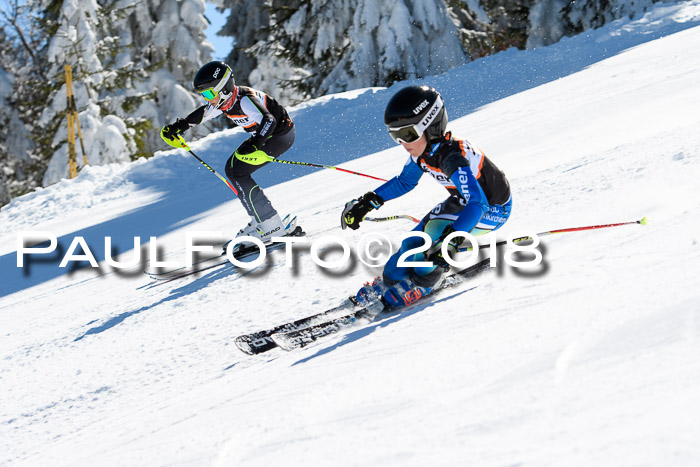 Ziener Cup WF, Finale, Quali + Parallelslalom, 24.03.2018