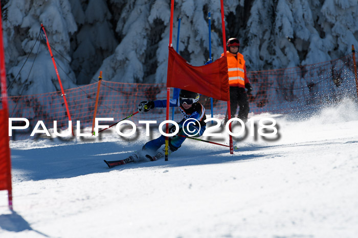 Ziener Cup WF, Finale, Quali + Parallelslalom, 24.03.2018