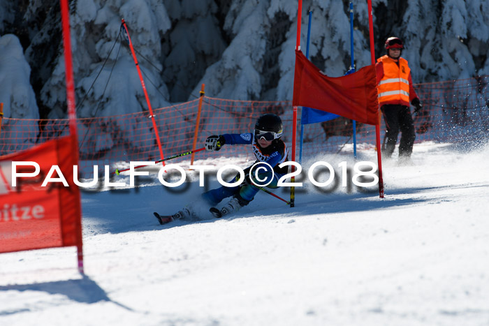 Ziener Cup WF, Finale, Quali + Parallelslalom, 24.03.2018
