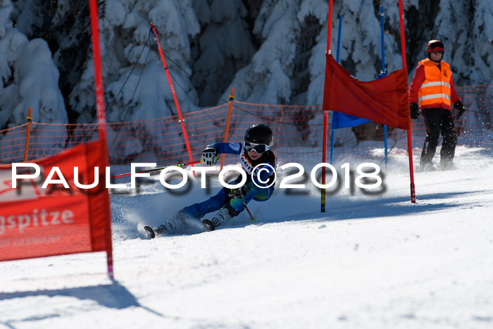 Ziener Cup WF, Finale, Quali + Parallelslalom, 24.03.2018