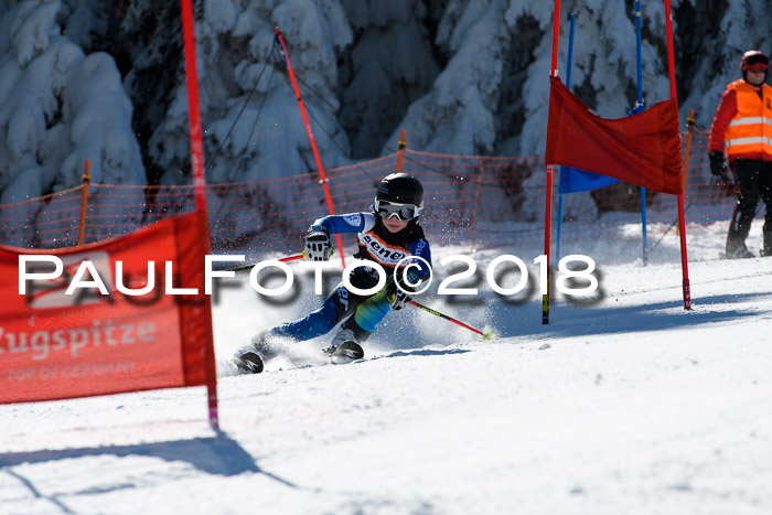 Ziener Cup WF, Finale, Quali + Parallelslalom, 24.03.2018