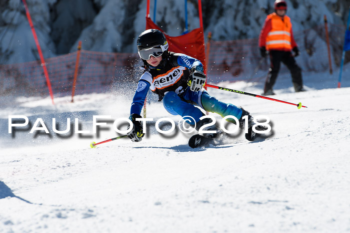 Ziener Cup WF, Finale, Quali + Parallelslalom, 24.03.2018