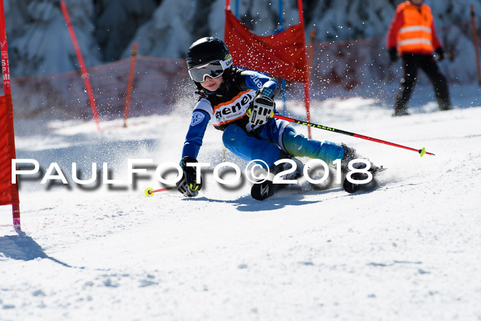 Ziener Cup WF, Finale, Quali + Parallelslalom, 24.03.2018
