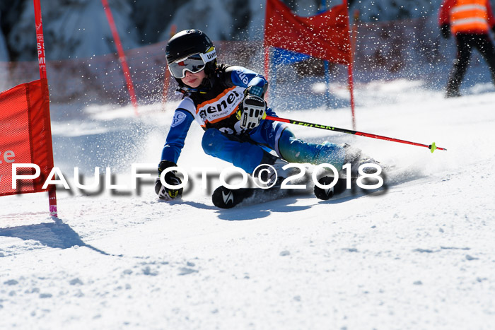 Ziener Cup WF, Finale, Quali + Parallelslalom, 24.03.2018