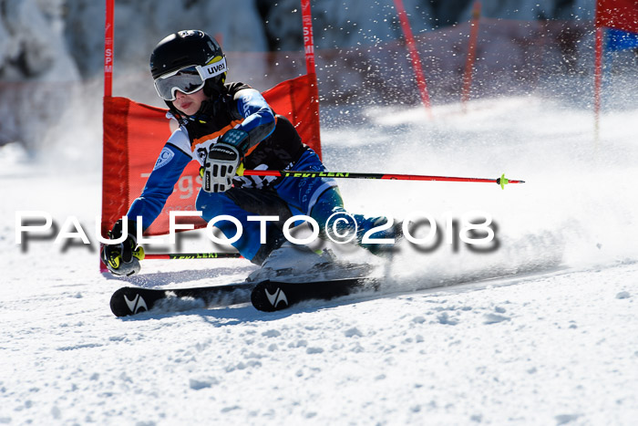 Ziener Cup WF, Finale, Quali + Parallelslalom, 24.03.2018