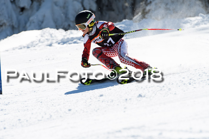 Ziener Cup WF, Finale, Quali + Parallelslalom, 24.03.2018