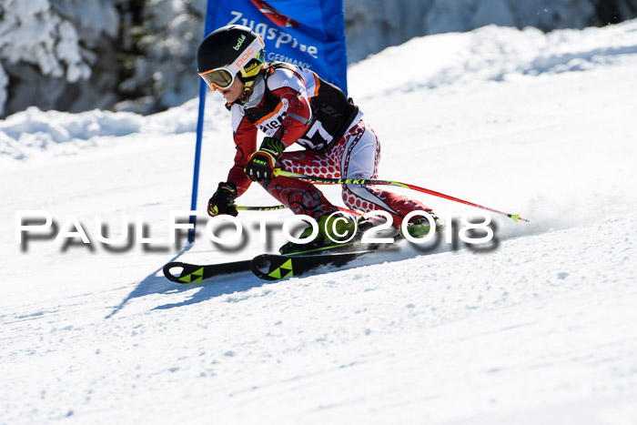 Ziener Cup WF, Finale, Quali + Parallelslalom, 24.03.2018