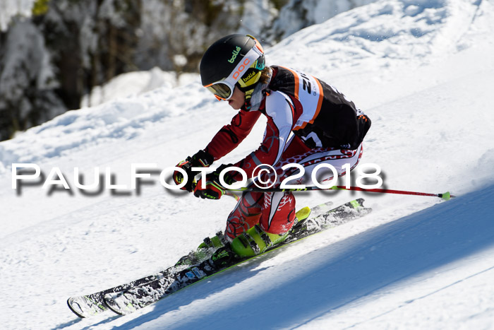 Ziener Cup WF, Finale, Quali + Parallelslalom, 24.03.2018