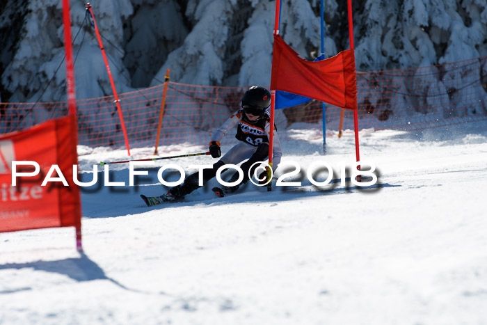 Ziener Cup WF, Finale, Quali + Parallelslalom, 24.03.2018