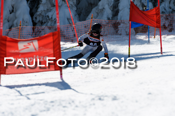 Ziener Cup WF, Finale, Quali + Parallelslalom, 24.03.2018