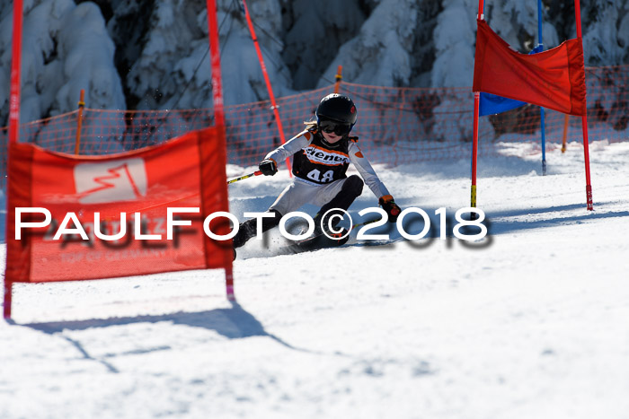 Ziener Cup WF, Finale, Quali + Parallelslalom, 24.03.2018