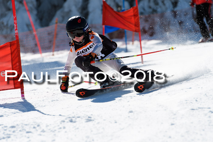Ziener Cup WF, Finale, Quali + Parallelslalom, 24.03.2018