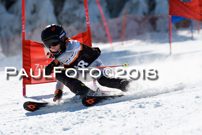 Ziener Cup WF, Finale, Quali + Parallelslalom, 24.03.2018