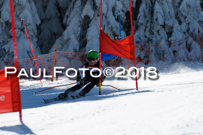 Ziener Cup WF, Finale, Quali + Parallelslalom, 24.03.2018