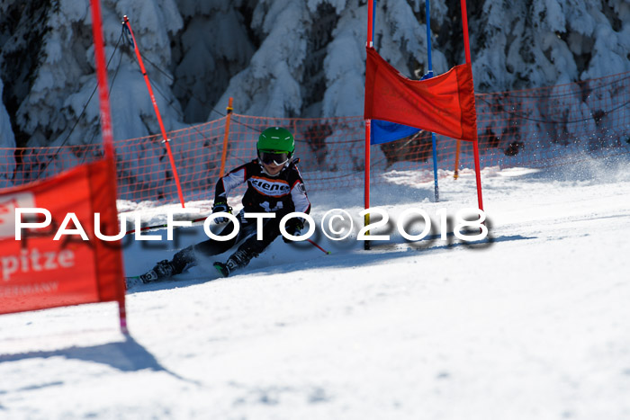 Ziener Cup WF, Finale, Quali + Parallelslalom, 24.03.2018