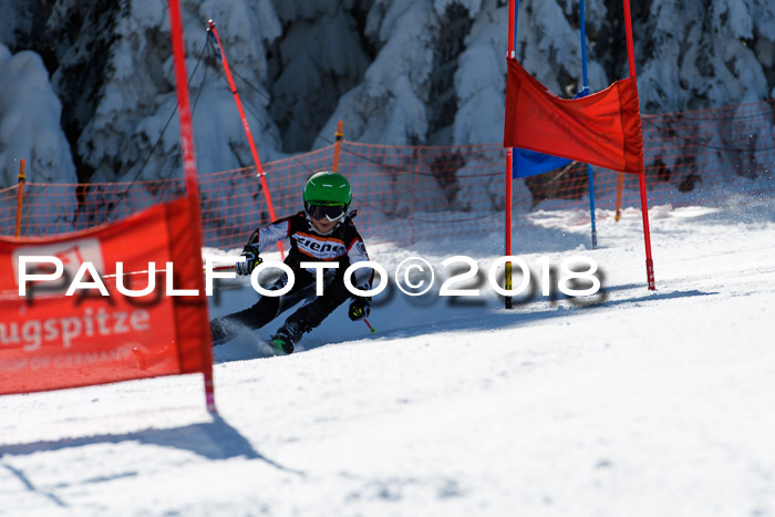Ziener Cup WF, Finale, Quali + Parallelslalom, 24.03.2018