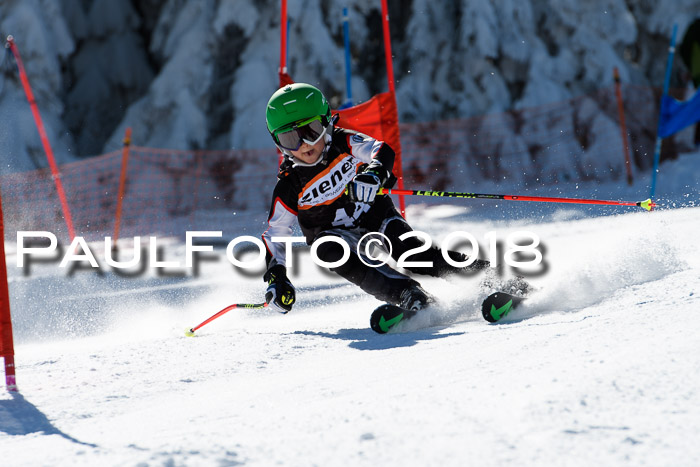 Ziener Cup WF, Finale, Quali + Parallelslalom, 24.03.2018