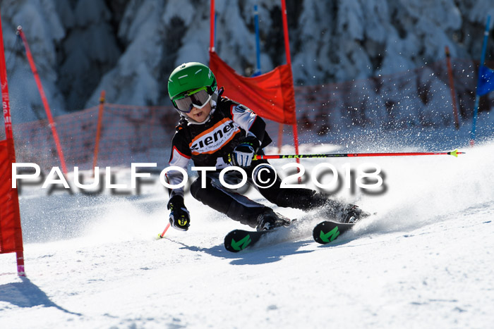 Ziener Cup WF, Finale, Quali + Parallelslalom, 24.03.2018