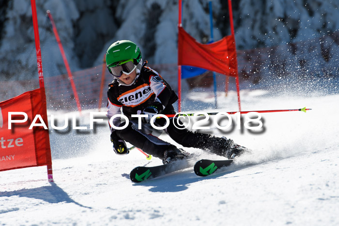 Ziener Cup WF, Finale, Quali + Parallelslalom, 24.03.2018