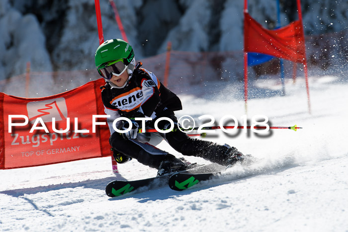 Ziener Cup WF, Finale, Quali + Parallelslalom, 24.03.2018