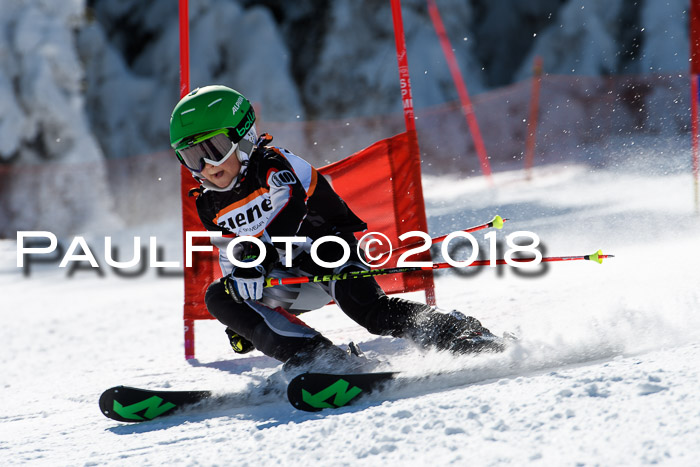 Ziener Cup WF, Finale, Quali + Parallelslalom, 24.03.2018